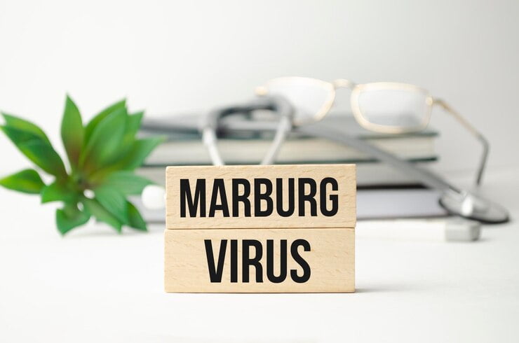 How Is Marburg Virus Transmitted?