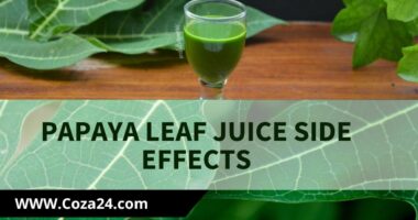 Papaya Leaf Juice Side Effects
