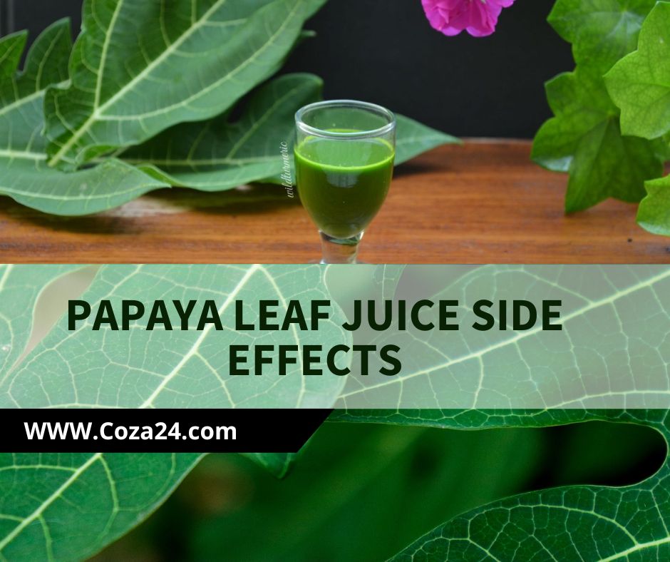 Papaya Leaf Juice Side Effects