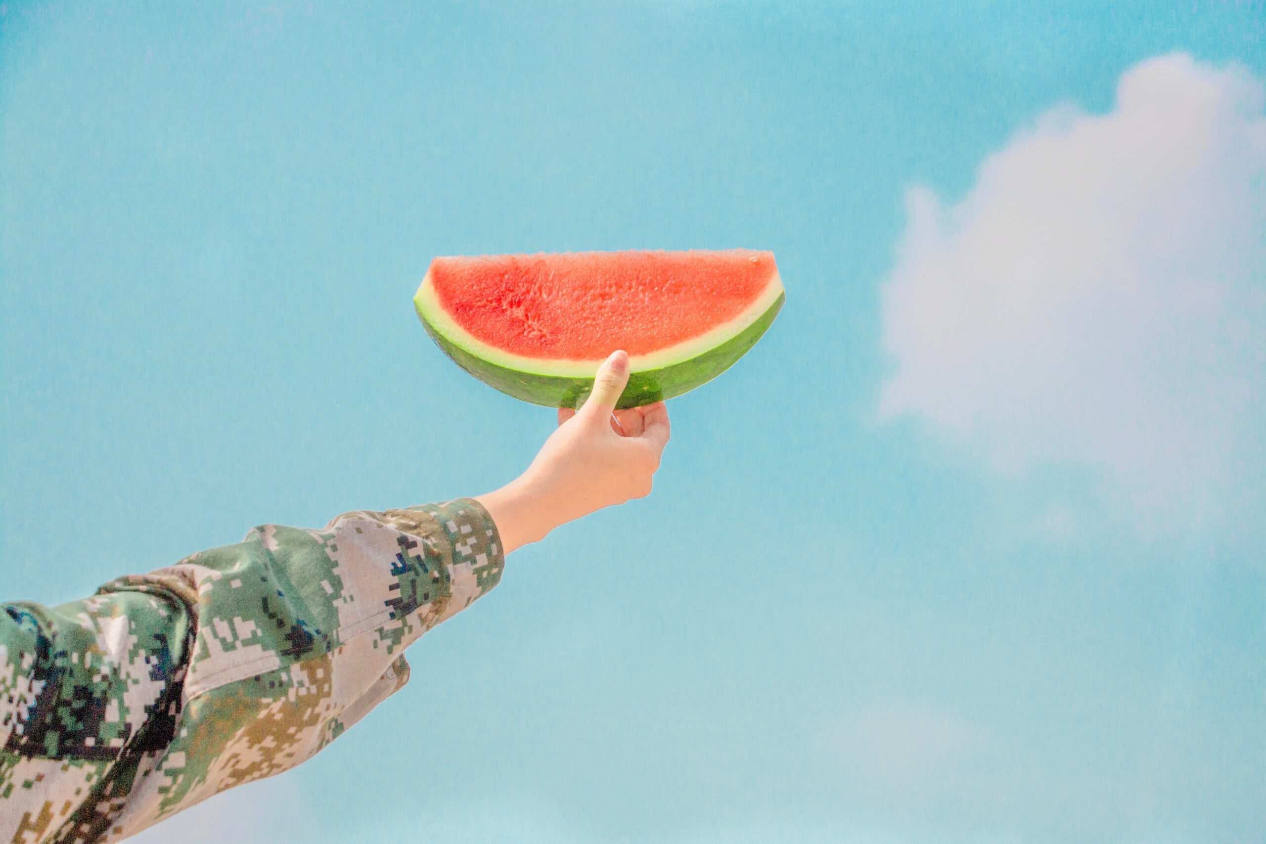 What Are The Health Benefits of Eating Watermelon Seeds? Everything You Need To Know