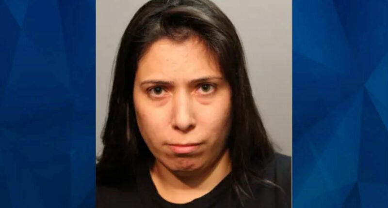 Victoria Moreno ‘EVIL AUNTIE’ Pushes Tot Nephew off Pier: When He ‘Acted up,’ Causing Tot’s Cardiac Arrest, Not Expected to Live