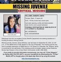 Zamora James Williams Missing: Young Girl Missing From Palmdale; Deputies Ask for Public's Help in Search