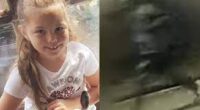 Olivia Pratt-Korbel Killer Description: UK Crimestoppers Is Offering $200K Reward - Who Broke Into Home, Shot 9-year-old Girl Dead
