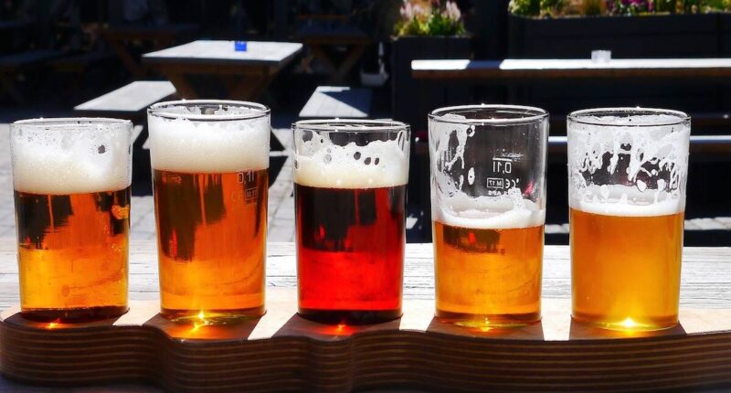 Are You Aware Of The Health Benefits Of Beer? The Rewards Will Shock You
