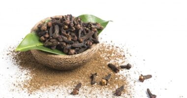 Cloves Nutrition Facts - And Benefits For Your Health Wellness