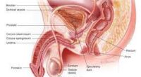 Prostate Cancer Signs: Here’s A Faster And Easier Way To Determine If You Have Aggressive Form Of Cancer