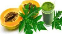 5 Age Risk Sickness You Can Cure With Papaya Leaf Tea