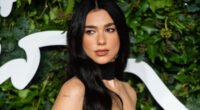 Has Dua Lipa Undergone Any Weight Loss Surgery? Here Is What We Find Out