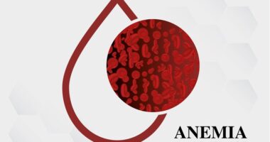 4 Nigerian Foods That Can Increase Your Red Blood Cells (Anaemia)
