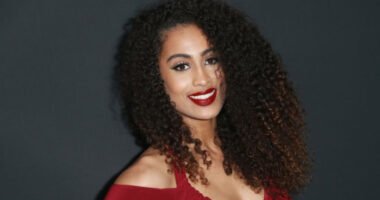 Who Is Skylar Diggins Husband? Expecting Second Baby With Daniel Smith!