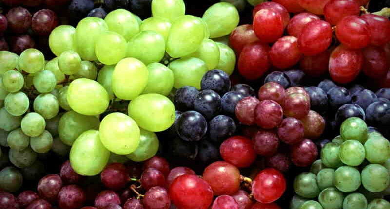 Red grapes vs green grapes: 10 top differences and the healthier one to eat