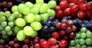 Are grapes bad for you? 14 Reasons Grapes Are Not Bad But Good For You
