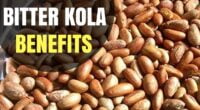 30 Incredible Health Benefits of Bitter Kola For Men And Women