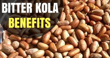 30 Incredible Health Benefits of Bitter Kola For Men And Women