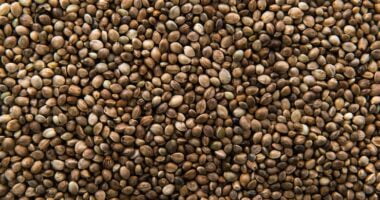 Hemp Seeds Benefits: Use, Nutrition & Side Effects