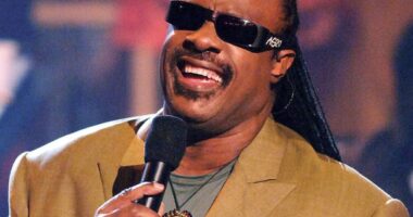 Is Stevie Wonder Blind? Did He Lose His Sight Six Weeks Old After Being Born Premature?