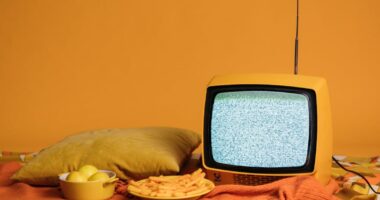 The Negative Effects Of Reality Television And Its Impact On Society