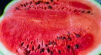 25 Amazing Health Benefits of Eating Watermelon