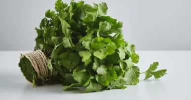 Health Benefits Of Parsley: Know The Nutrients And Recipes