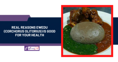 Real Reasons Ewedu (Corchorus olitorius) is Good for your Health