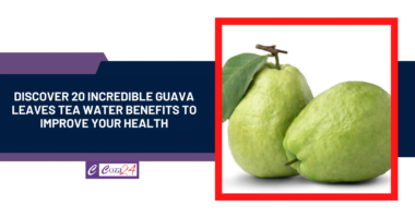 Discover 20 Incredible Guava Leaves Tea Water Benefits To Improve Your Health
