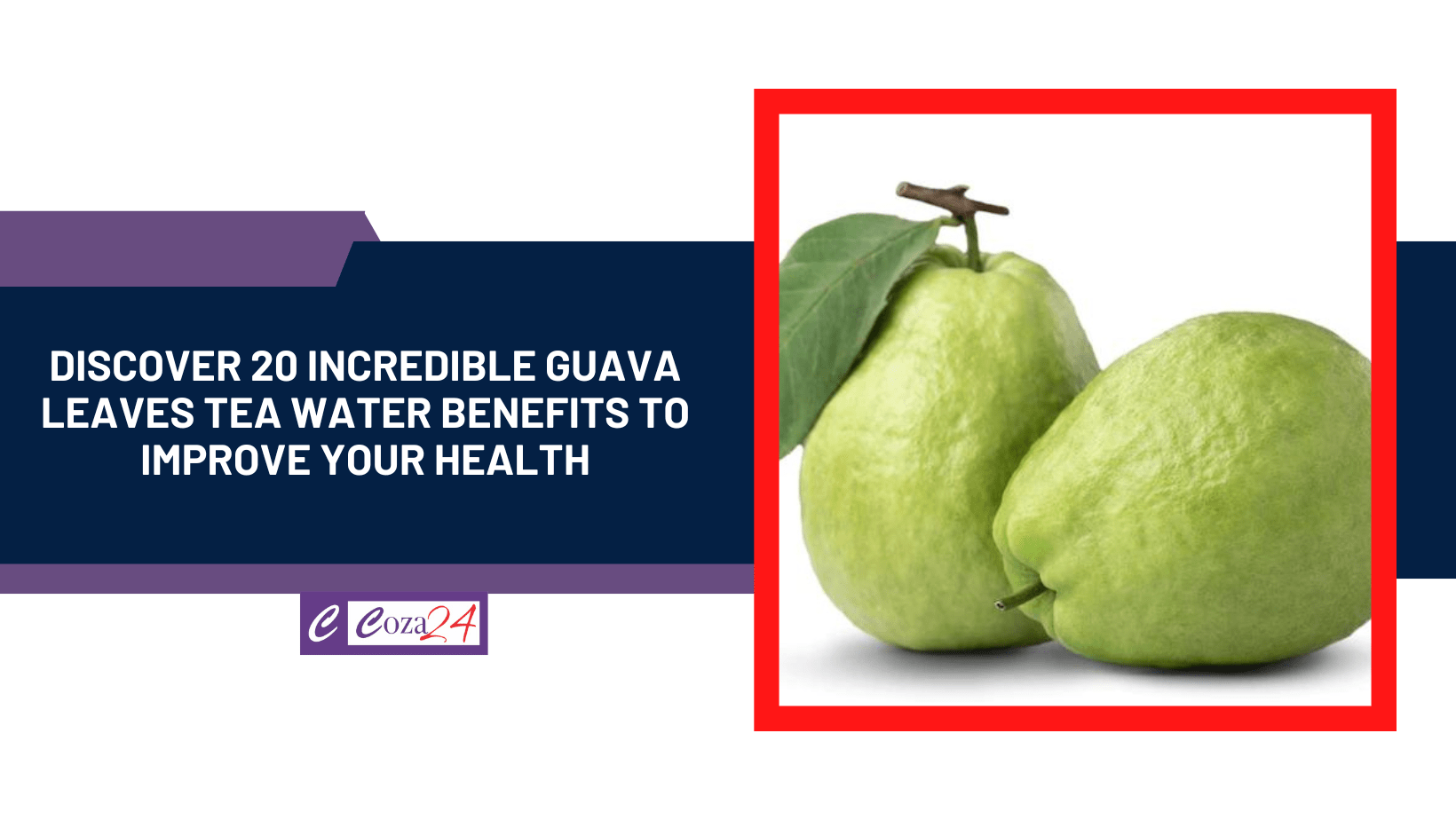 Discover 20 Incredible Guava Leaves Tea Water Benefits To Improve Your Health