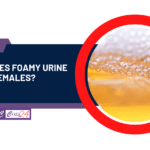 What causes foamy urine in females?