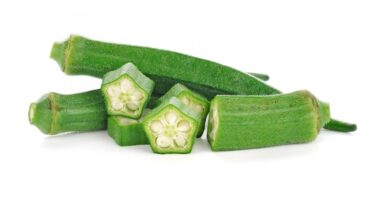 Okro and Fertility: Does It Increase Cervical Mucus Naturally