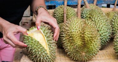 12 Promising Health Benefits Of The Nutritious Durian Fruit