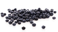 Acai Berry Nutrition: Vitamins, Minerals, and Benefits