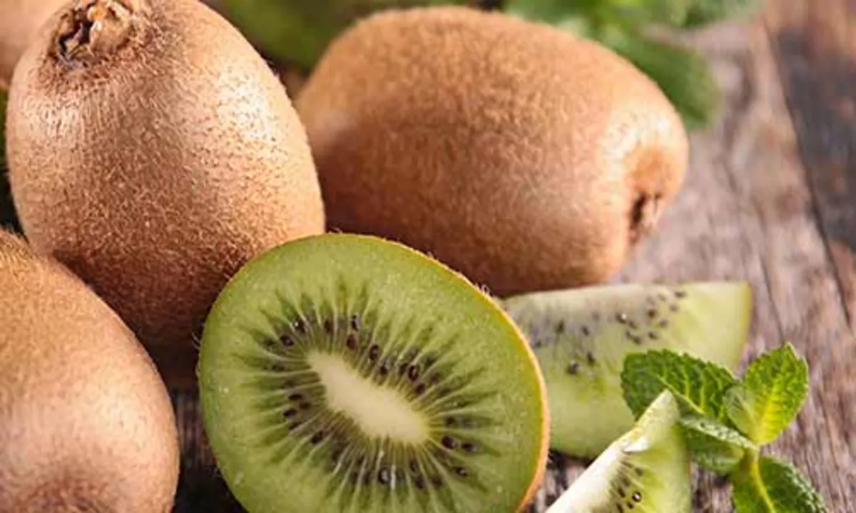 7 Incredible Health Benefits of Kiwi Fruit for the Elderly