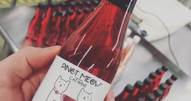 Pinot Meow