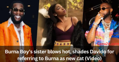 Burna Boy’s sister blows hot
