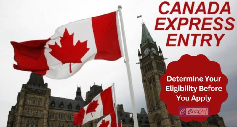 Express Entry To Canada: Determine Your Eligibility Before You Apply