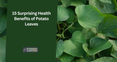 15 Surprising Health Benefits Of Potato Leaves
