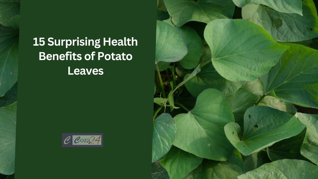 15 Surprising Health Benefits Of Potato Leaves