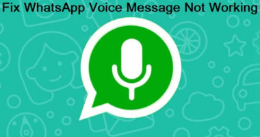 WhatsApp Voice Message Not Working