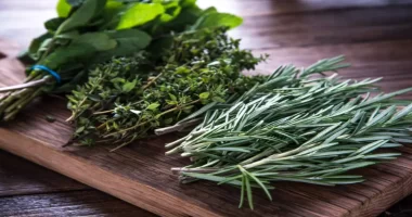 11 easy-to-source herbal leaves that are best for weight loss
