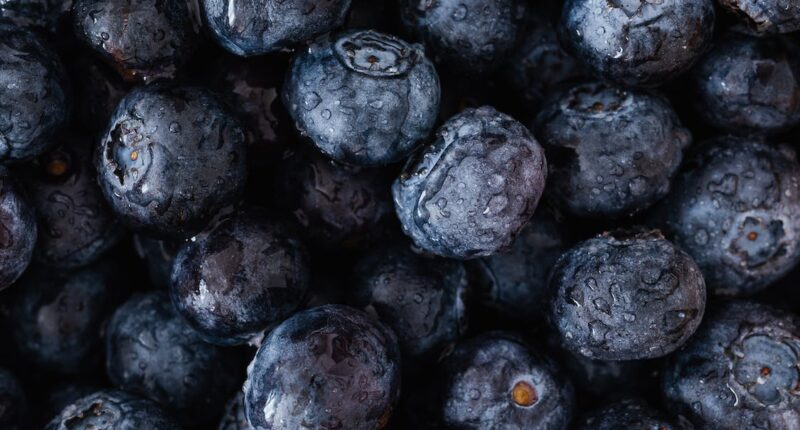 10 Delicious Blueberry Recipes To Make With the Summer Bounty