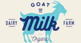 11 Surprising Health Benefits Of Goat Milk