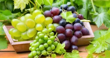 Are Grapes Good To Eat At Night? A Surprising Health Secret