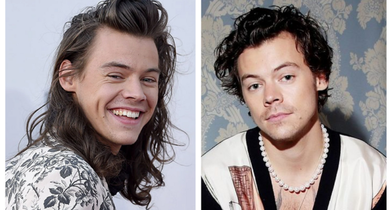 Did Harry Styles Suffer Hair Loss: Why Did He Shave His Hair? Fans Absolutely Hate It