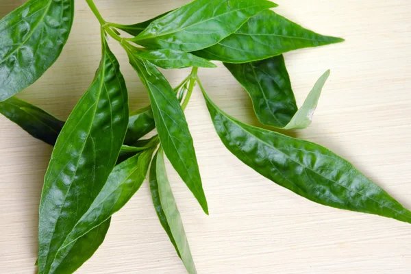 30 Incredible Ailments You Never Knew Bitter Leaf Could Cure