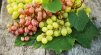 Can Type 2 Diabetics Eat Grapes Everyday? Here’s What Dietitians Say
