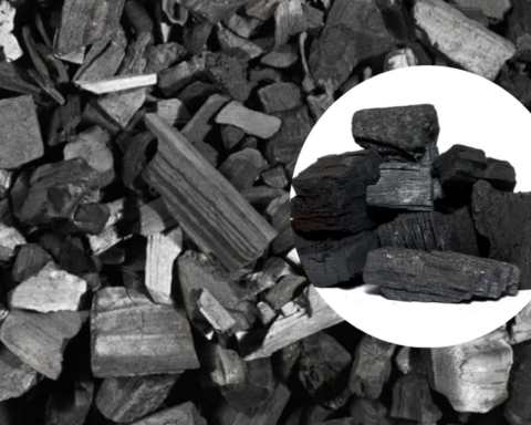 How To Start Exporting Charcoal From Nigeria To Many Countries In The World