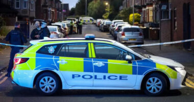 XL Bully is shot dead after running out of control, attacking passers-by and injuring a woman: Police arrest two men as victim recovers from attack by banned dog